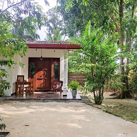 Hotel Aurora Midigama Ahangama Exteriér fotografie